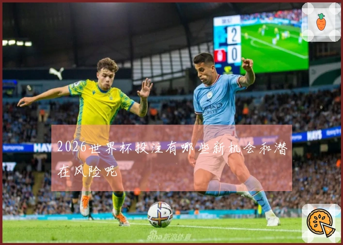 2026世界杯投注有哪些新机会和潜在风险呢