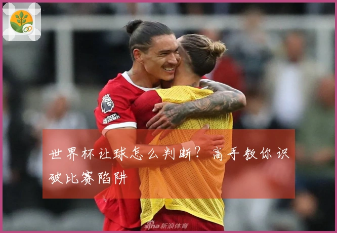世界杯让球怎么判断？高手教你识破比赛陷阱