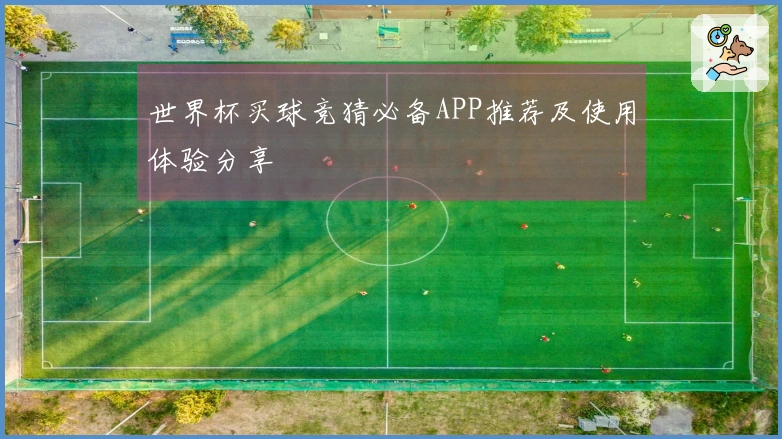 世界杯买球竞猜必备APP推荐及使用体验分享