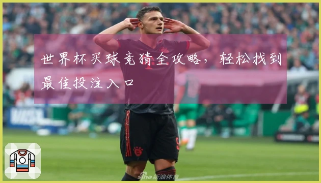 世界杯买球竞猜全攻略，轻松找到最佳投注入口
