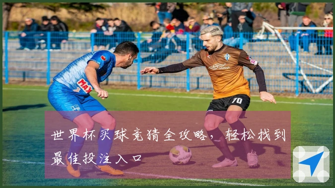 世界杯买球竞猜全攻略，轻松找到最佳投注入口