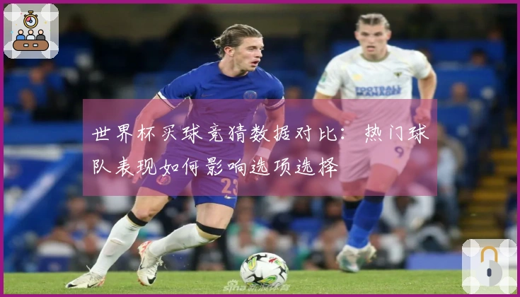 世界杯买球竞猜数据对比：热门球队表现如何影响选项选择