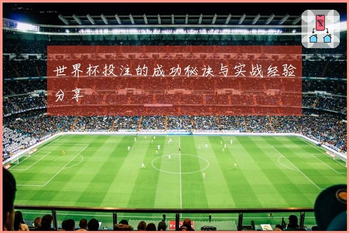 世界杯投注的成功秘诀与实战经验分享